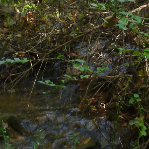 Example of a spring