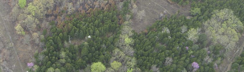Raymond Athey Barrens State Nature Preserve