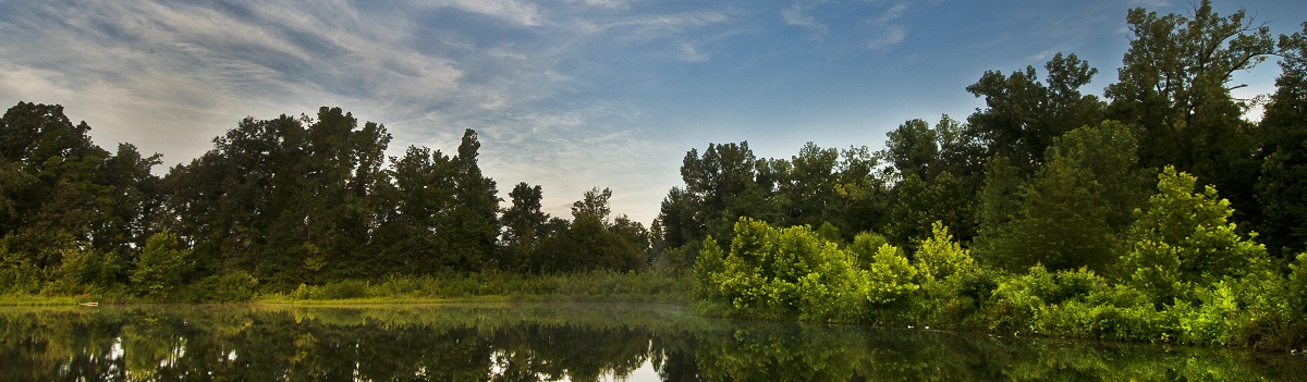 Adkisson Greenbelt Park