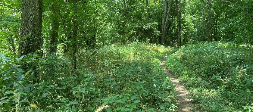 Logan Hubble Park